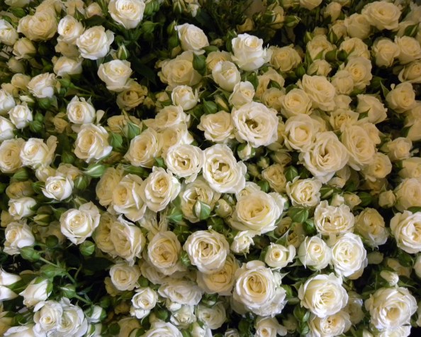 Buying your flowers at the New Covent Garden Flower&nbsp;Market